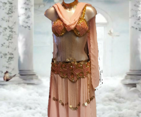 Belly dance costumes & accessories